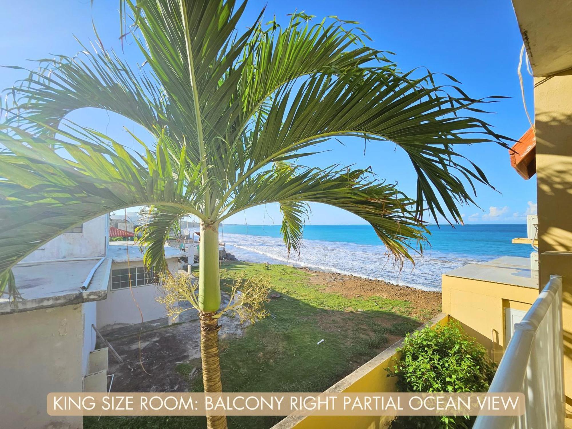 Selva Boutique Hotel - Luquillo Oceanfront Retreat - Adults Only Εξωτερικό φωτογραφία