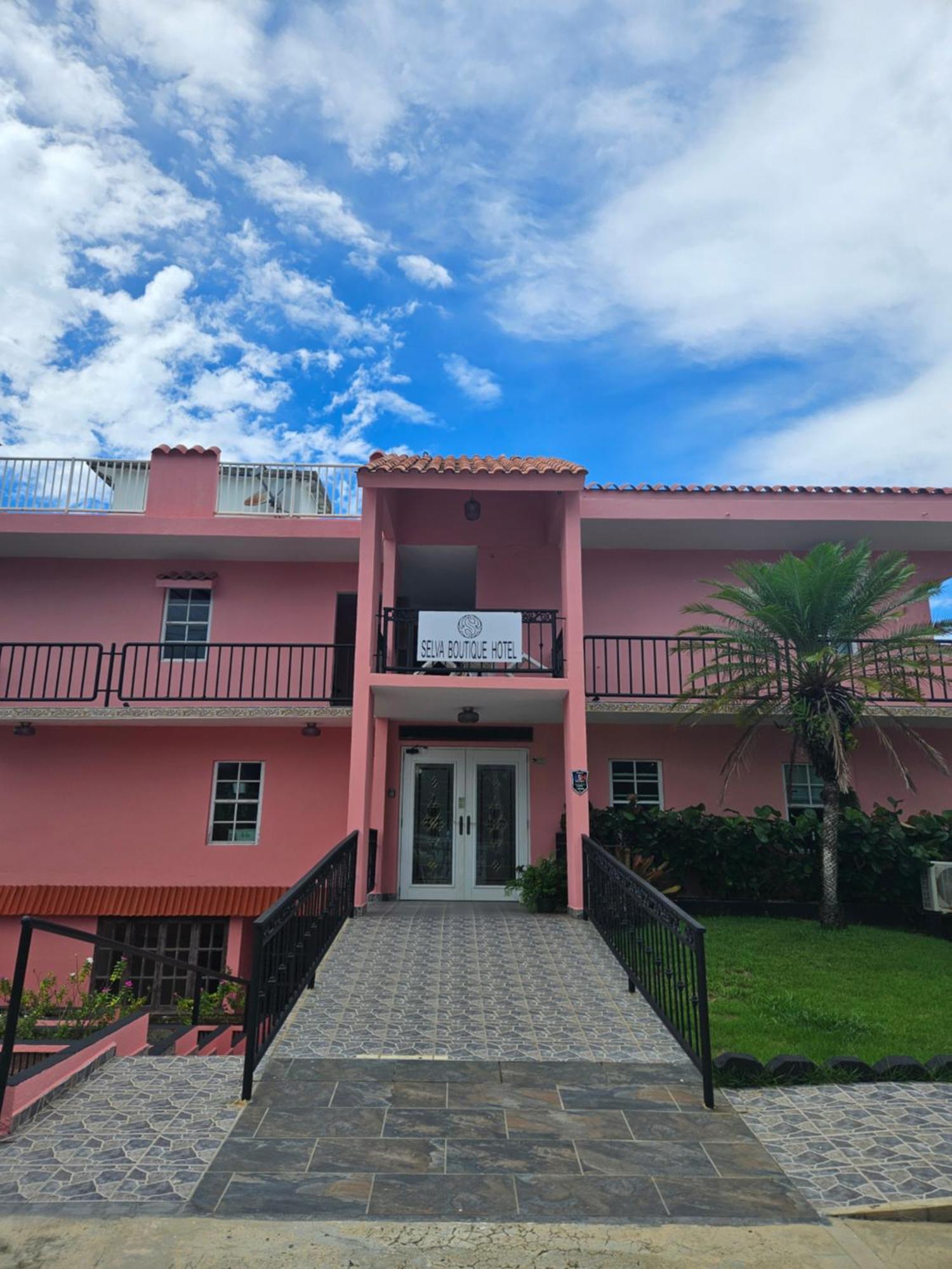 Selva Boutique Hotel - Luquillo Oceanfront Retreat - Adults Only Εξωτερικό φωτογραφία