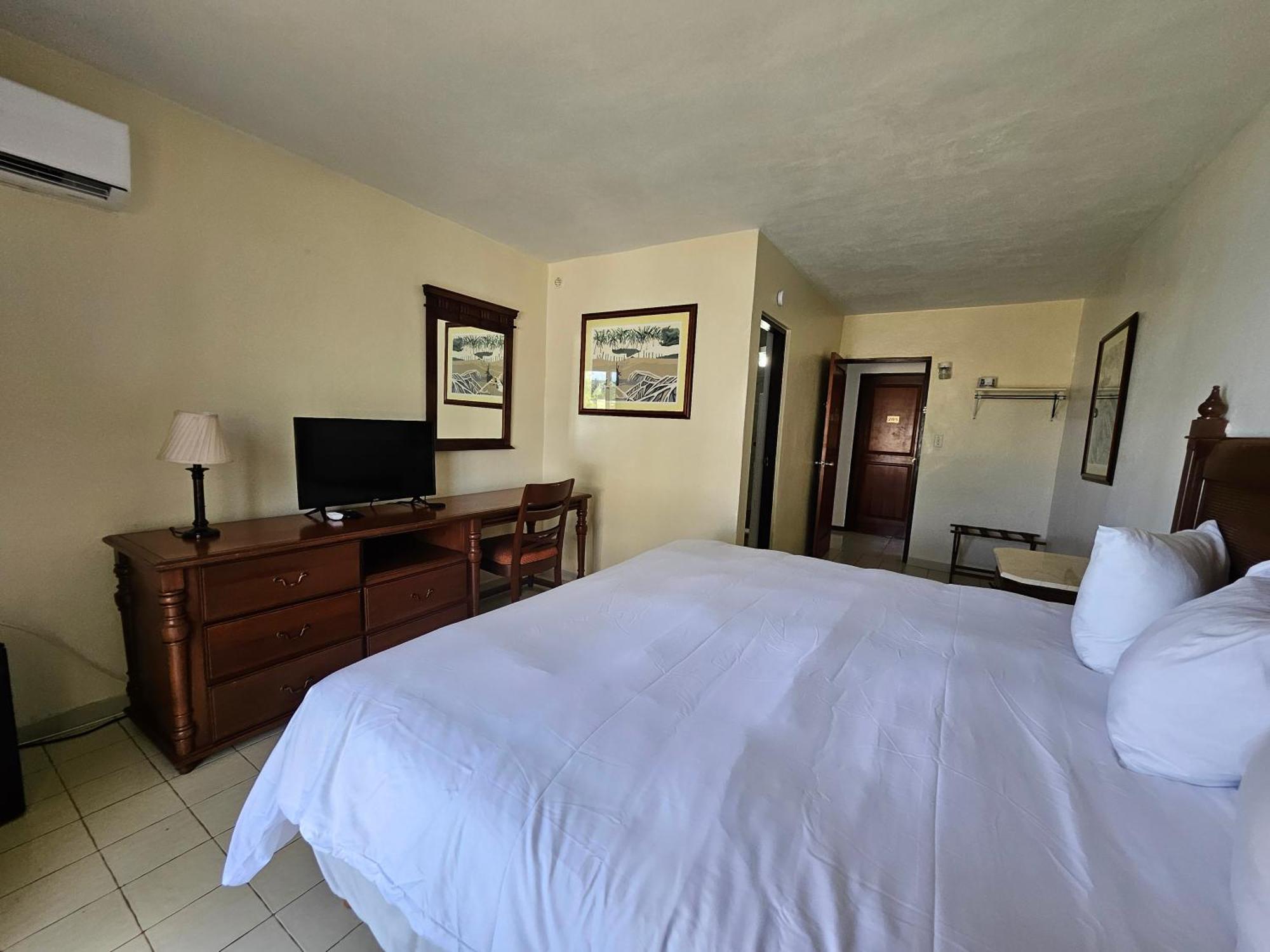 Selva Boutique Hotel - Luquillo Oceanfront Retreat - Adults Only Εξωτερικό φωτογραφία